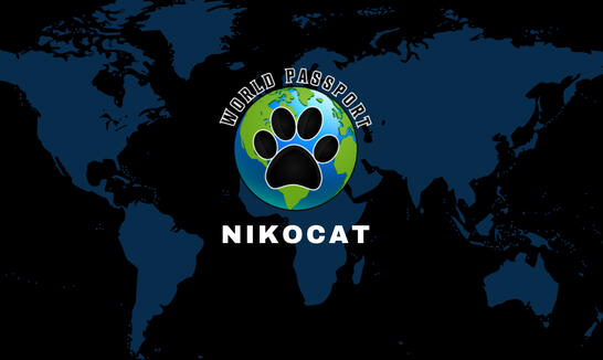 Niko Cat Logo